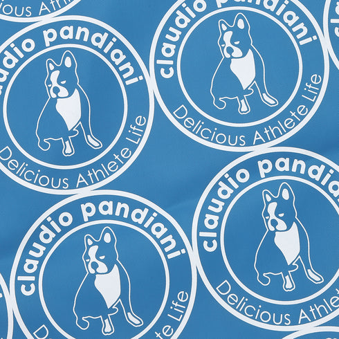 パイド+1 マルチバック