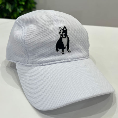 パイド Dry-UVキャップ