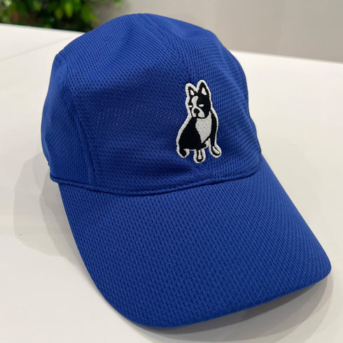 パイド Dry-UVキャップ