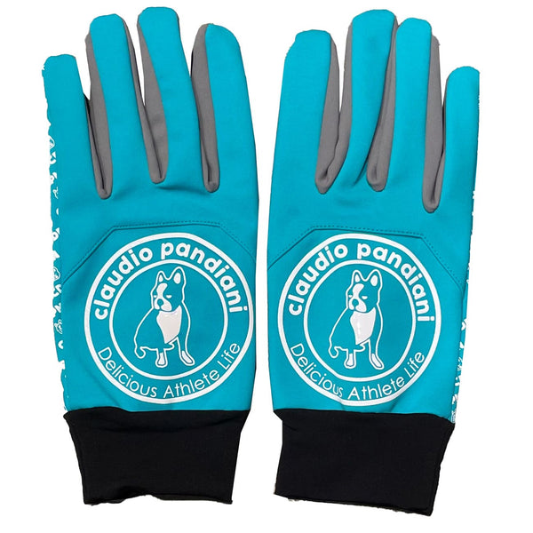 サークル フィールドグローブ