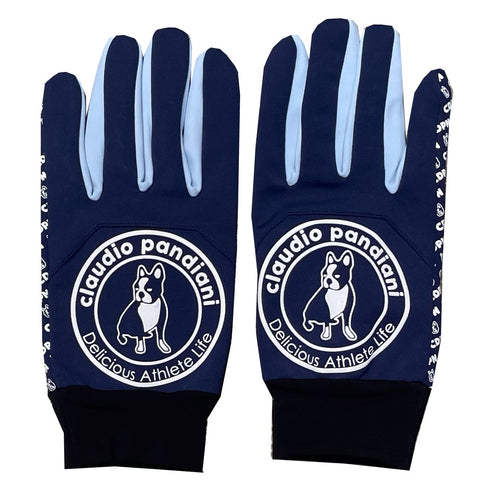 サークル フィールドグローブ