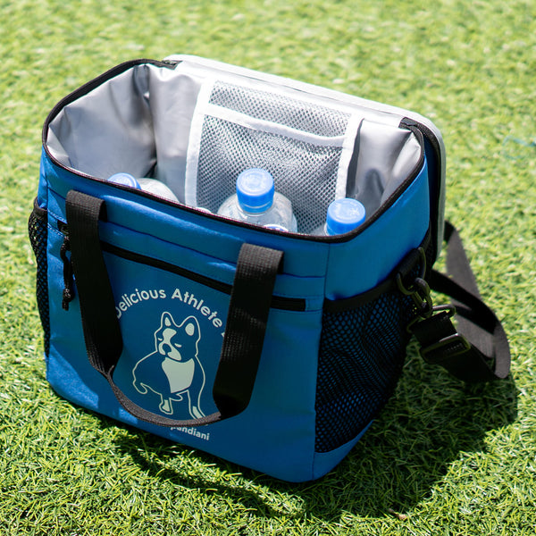 DAL Arch ソフトクーラーバック