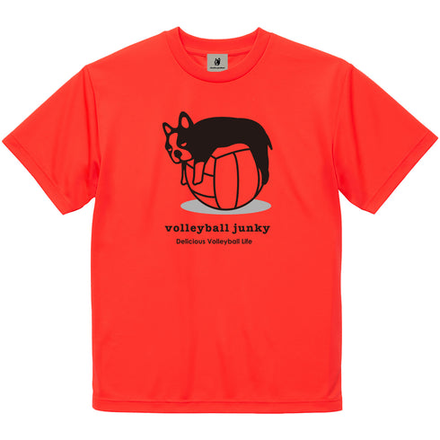 たれパンディアーニ+1 DryTEE