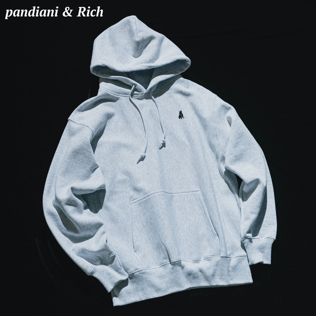 pandiani & rich ヘヴィーウェイト スウェットフーディー – claudio 