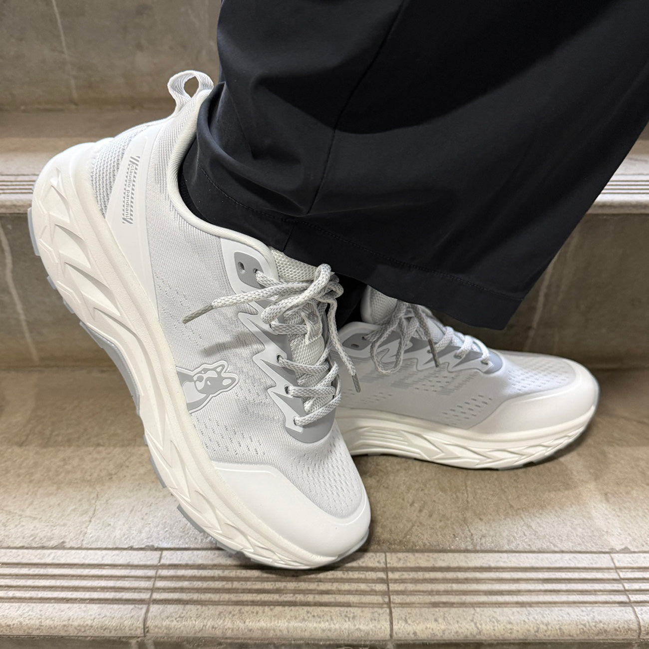 OSANPO 犬とお散歩シューズ