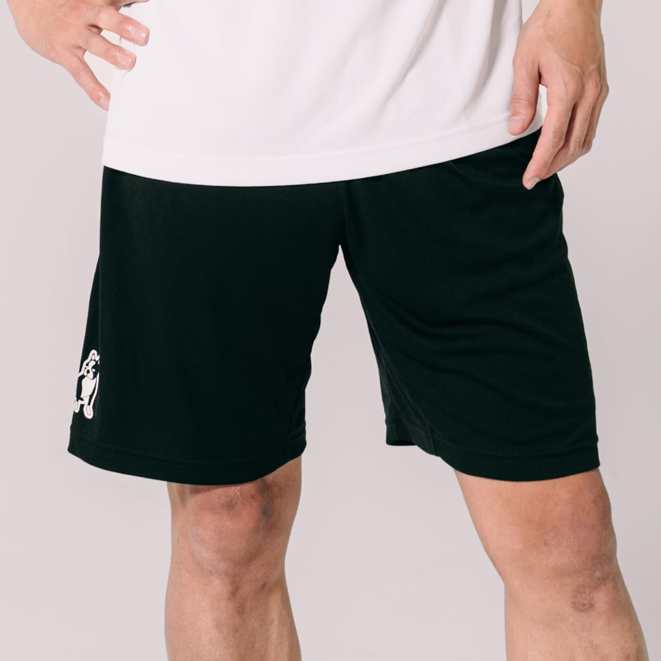 新商品 – claudio pandiani