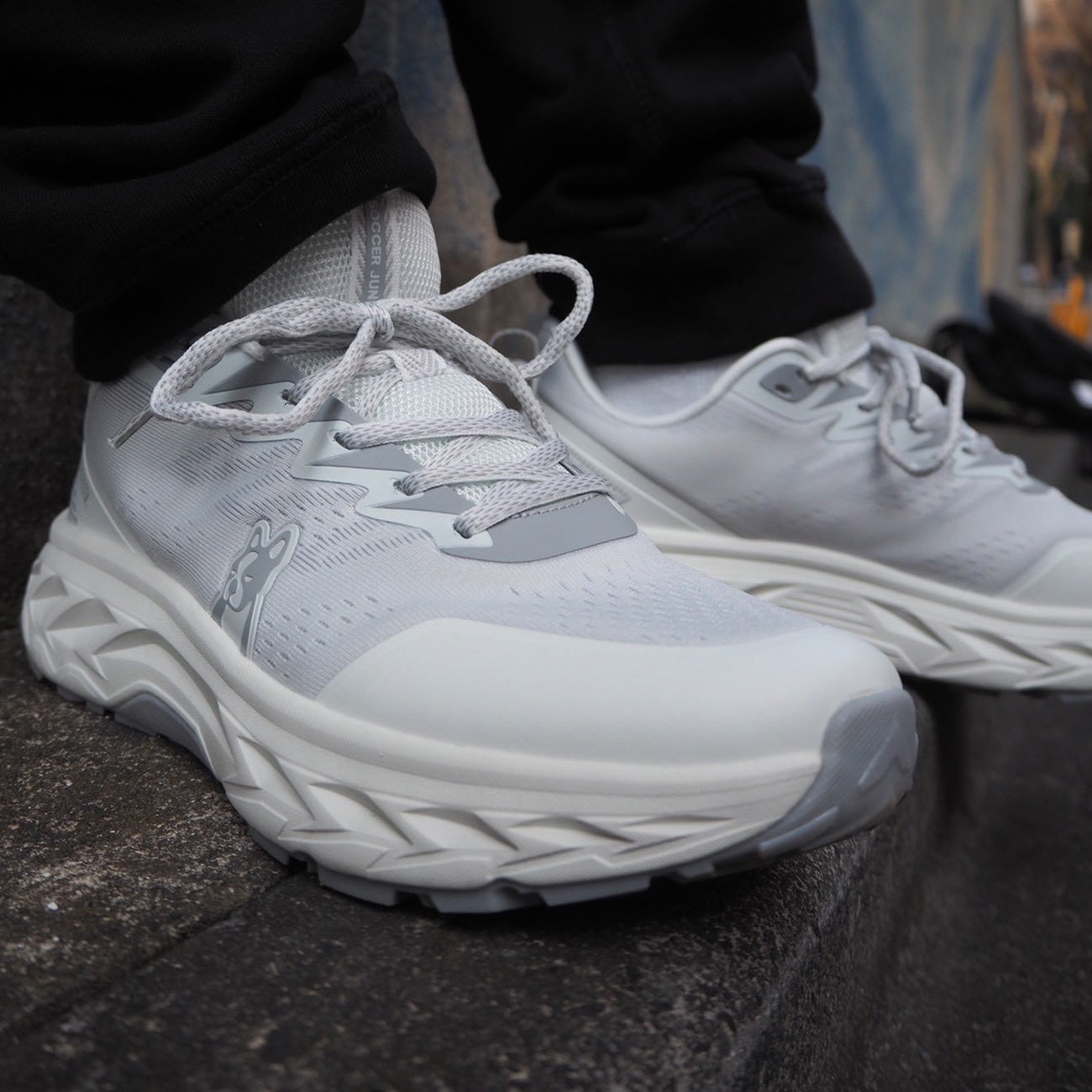 OSANPO 犬とお散歩シューズ