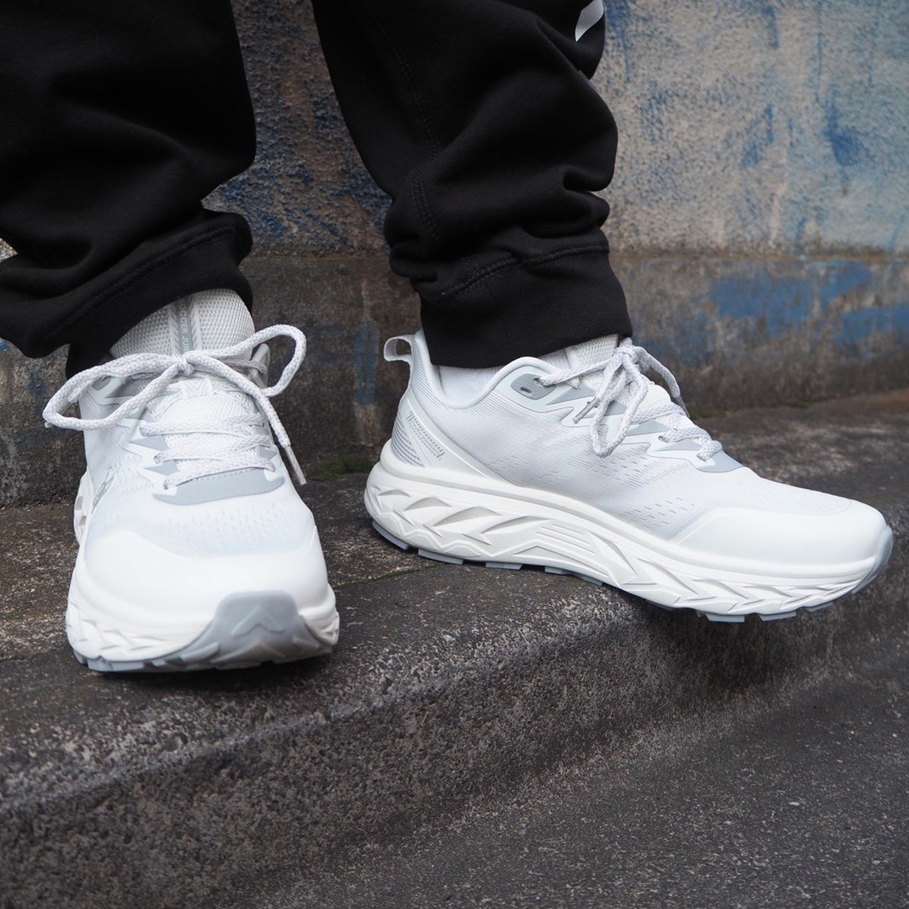 OSANPO 犬とお散歩シューズ